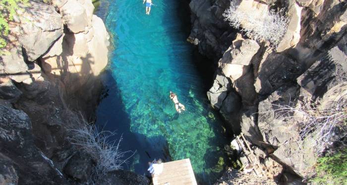 Galapagos snorkeling tortoise Galapagos snorkeling tortoise