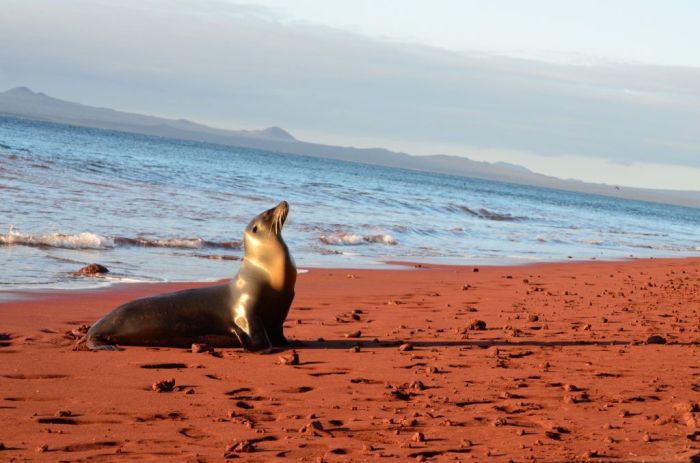 Galapagos islands tourradar tours packages Galapagos islands tourradar tours packages