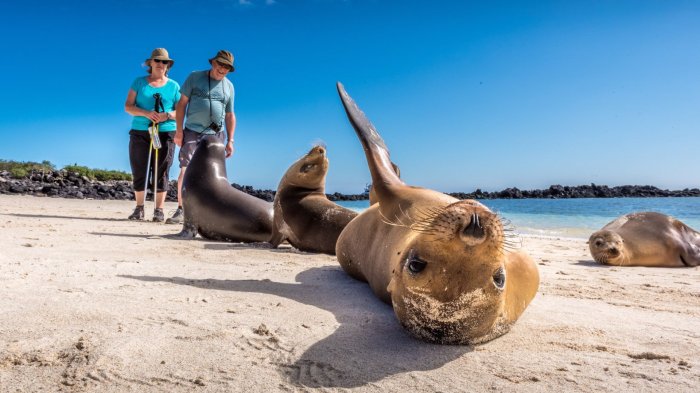 Galapagos islands ecosystem gulliver island ec Galapagos islands ecosystem gulliver island ec