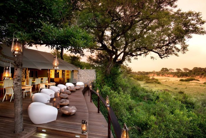 Best luxury safari companies