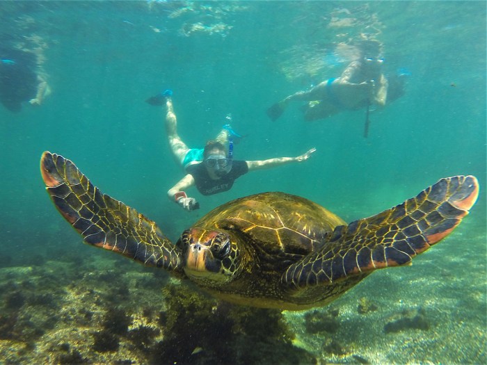 Best galapagos tours companies