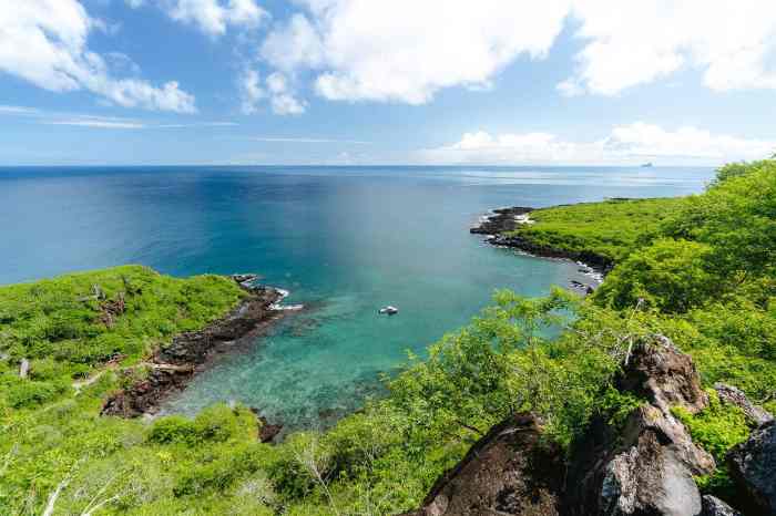 Best travel agency for galapagos islands
