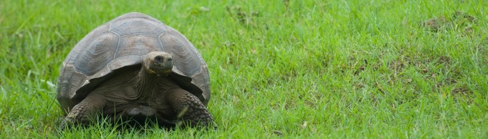 Galapagos islands ecotourism tourradar