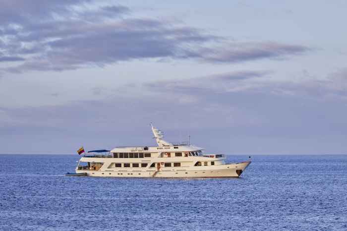 Galapagos islands spray ocean cruise cruises travel yachts ships visit motor yacht catamaran choose oceanspray exterior safaris wildlife andbeyond southamerica Best galapagos travel companies