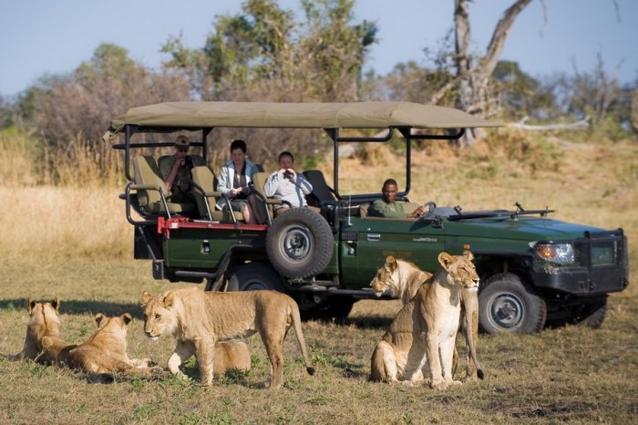 Luxury african safari vacation packages