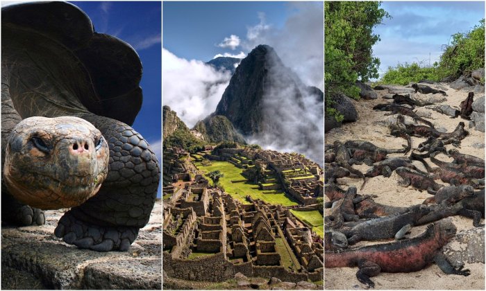 Best tour companies for machu picchu and galapagos