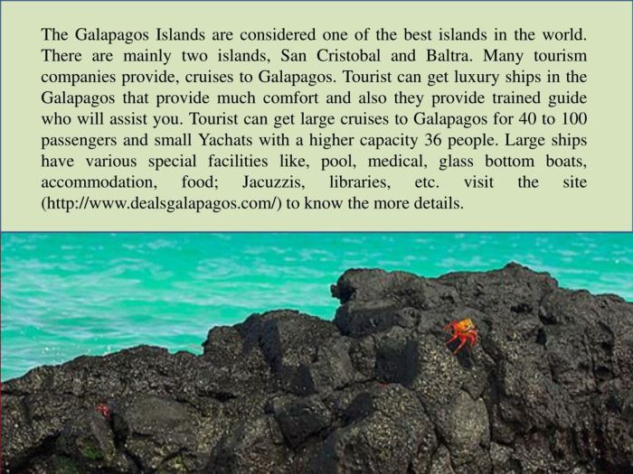 Best galapagos tours companies