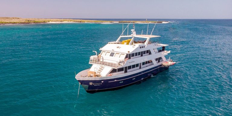 Best Galapagos Tour Your Ultimate Guide